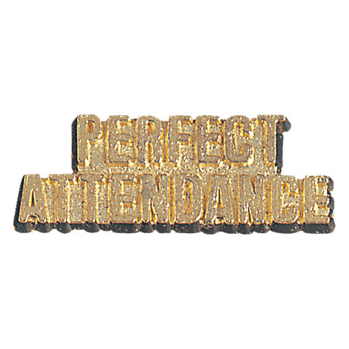 Perfect Attendance Chenille Pins - Case of 25