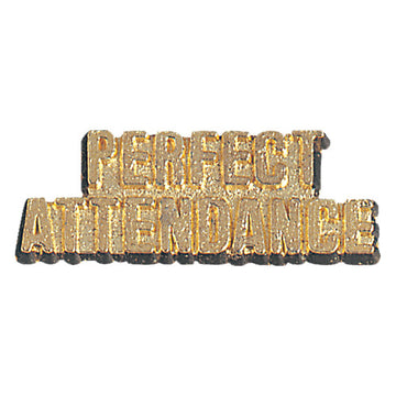 Perfect Attendance Chenille Pins - Case of 25