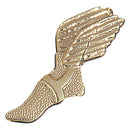 Winged Foot Chenille Pins - Case of 25-1
