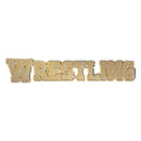 Wrestling Chenille Pins - Case of 25-1