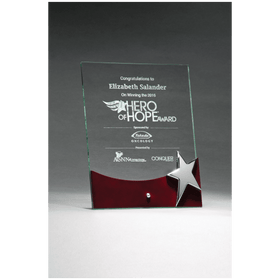 G2792 - 8" x 10" Freestanding Glass Award with High Gloss Rosewood Accent and Silver Star