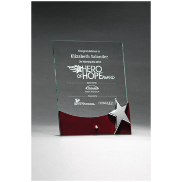 G2792 - 8" x 10" Freestanding Glass Award with High Gloss Rosewood Accent and Silver Star