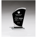 G2925 - 5 1/2" x 8 3/4" Sail Shaped Glass Award with Black Center