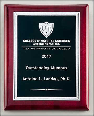 Silver Florentine Border with Textured Black Center on Rosewood Piano-Finish Plaque P5051, P5052, P5053