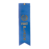 1st Place - Blue