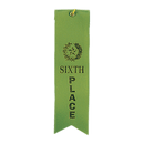 Place Carded Ribbon with String 2 x 8 inch-7