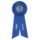 Large Place Rosette Ribbon 9" - 1st Place