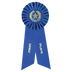 Large Place Rosette Ribbon 9" - 1st Place