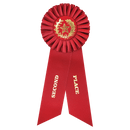 Large Place Rosette Ribbon 9" - 2nd Place
